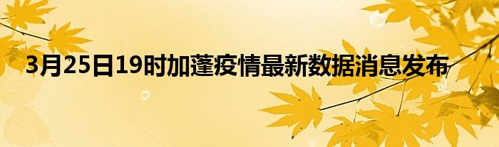 3月25日19时加蓬疫情最新数据消息发布