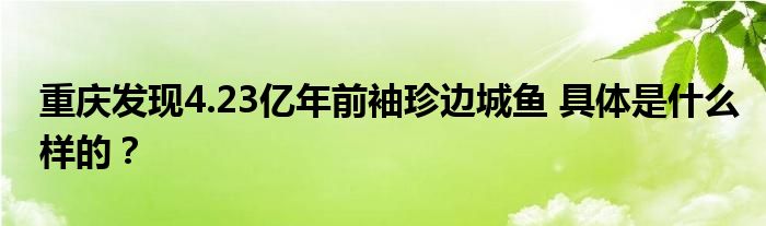 重庆发现4.23亿年前袖珍边城鱼 具体是什么样的?