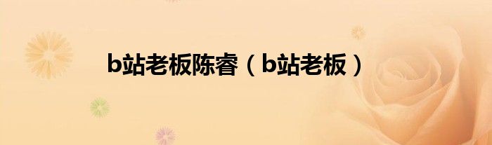 b站老板陈睿(b站老板)