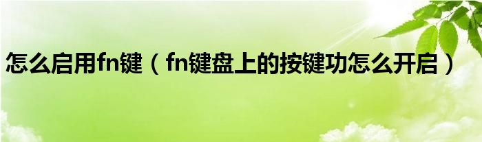 怎么启用fn键(fn键盘上的按键功怎么开启)
