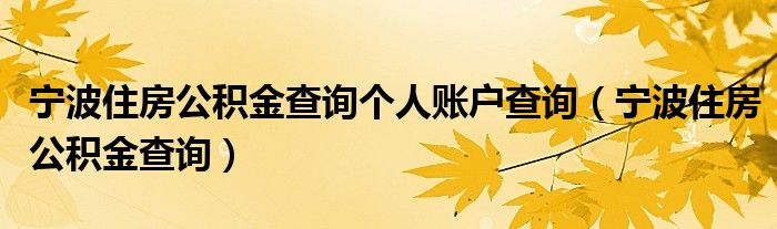 宁波住房公积金查询个人账户查询(宁波住房公积金查询)