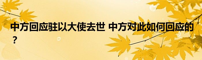 中方回应驻以大使去世 中方对此如何回应的?