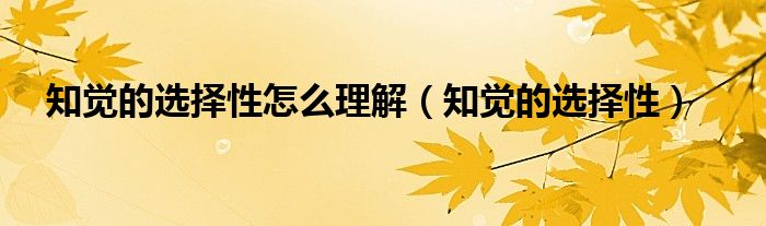 知觉的选择性怎么理解(知觉的选择性)