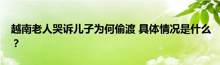 越南老人哭诉儿子为何偷渡 具体情况是什么?