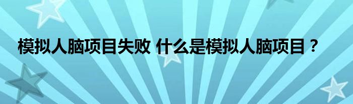 模拟人脑项目失败 什么是模拟人脑项目?
