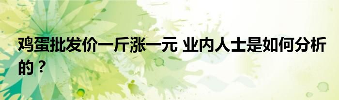 鸡蛋批发价一斤涨一元 业内人士是如何分析的?