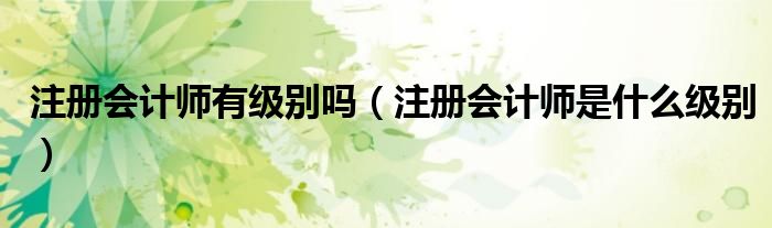 注册会计师有级别吗(注册会计师是什么级别)