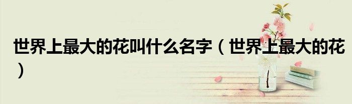 世界上最大的花叫什么名字(世界上最大的花)
