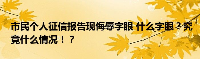 市民个人征信报告现侮辱字眼 什么字眼?究竟什么情况!?