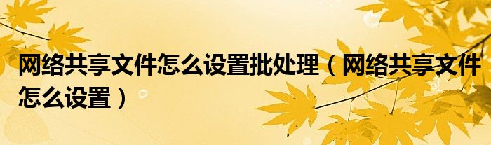 网络共享文件怎么设置批处理(网络共享文件怎么设置)