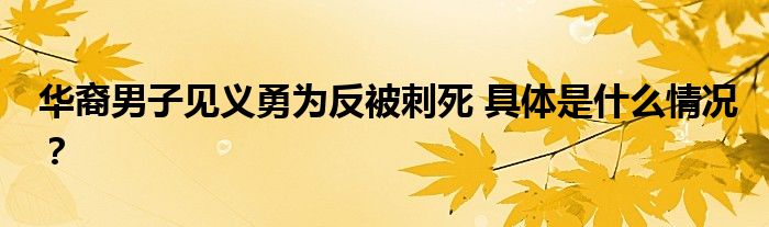 华裔男子见义勇为反被刺死 具体是什么情况?