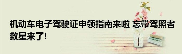 机动车电子驾驶证申领指南来啦 忘带驾照者救星来了!