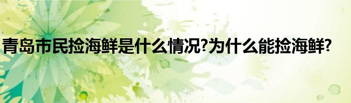 青岛市民捡海鲜是什么情况?为什么能捡海鲜?