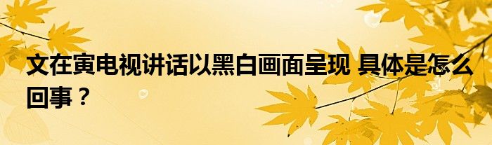 文在寅电视讲话以黑白画面呈现 具体是怎么回事?