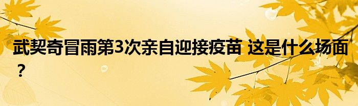 武契奇冒雨第3次亲自迎接疫苗 这是什么场面?
