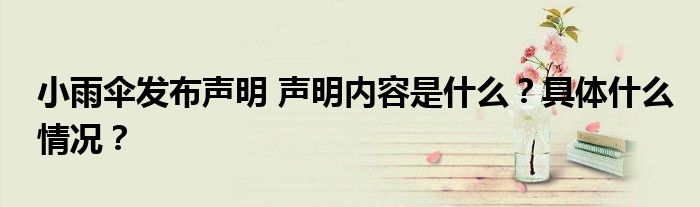小雨伞发布声明 声明内容是什么?具体什么情况?