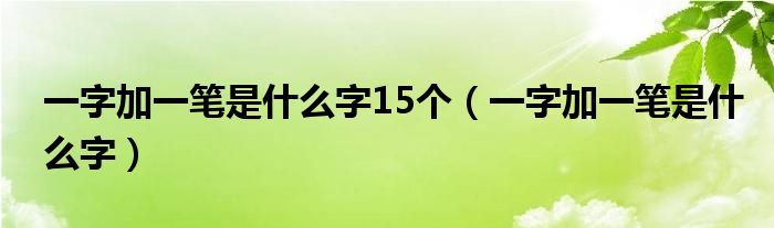 一字加一笔是什么字15个(一字加一笔是什么字)