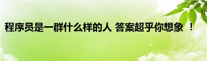 程序员是一群什么样的人 答案超乎你想象 !