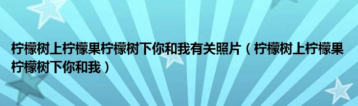 柠檬树上柠檬果柠檬树下你和我有关照片(柠檬树上柠檬果 柠檬树下你和我)