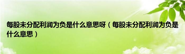每股未分配利润为负是什么意思呀(每股未分配利润为负是什么意思)