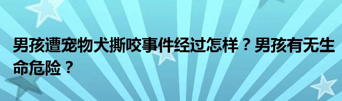 男孩遭宠物犬撕咬事件经过怎样?男孩有无生命危险?