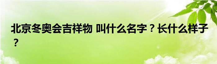 北京冬奥会吉祥物 叫什么名字?长什么样子?
