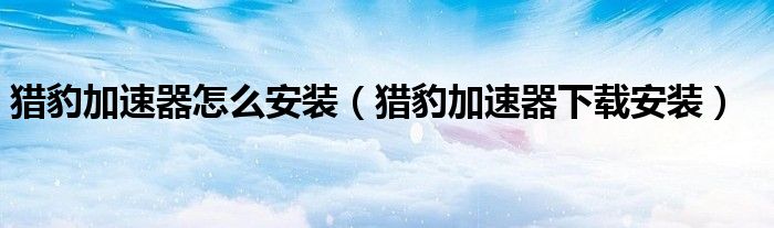 猎豹加速器怎么安装(猎豹加速器下载安装)