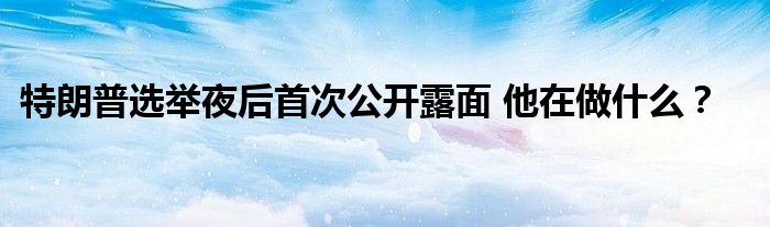 特朗普选举夜后首次公开露面 他在做什么?