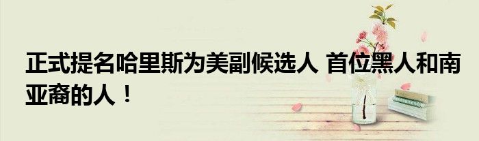 正式提名哈里斯为美副候选人 首位黑人和南亚裔的人!