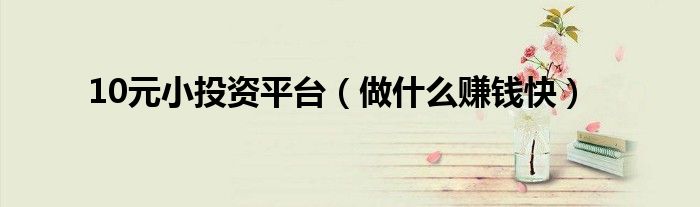 10元小投资平台(做什么赚钱快)