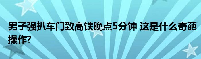 男子强扒车门致高铁晚点5分钟 这是什么奇葩操作?