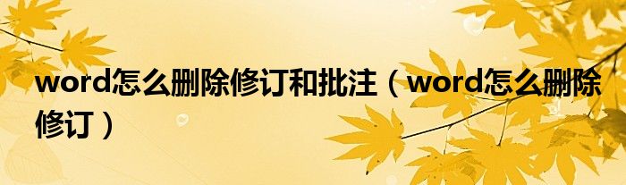 word怎么删除修订和批注(word怎么删除修订)