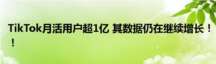 TikTok月活用户超1亿 其数据仍在继续增长!!
