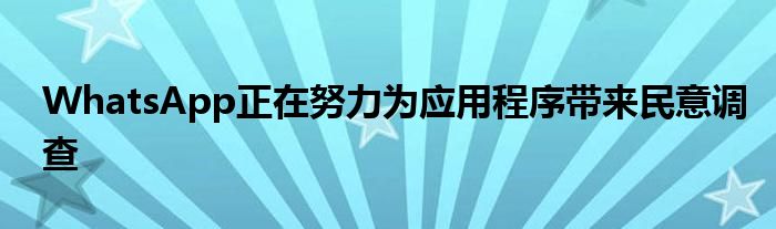 WhatsApp正在努力为应用程序带来民意调查