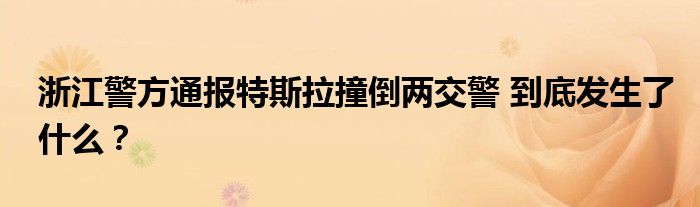 浙江警方通报特斯拉撞倒两交警 到底发生了什么?