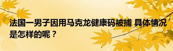法国一男子因用马克龙健康码被捕 具体情况是怎样的呢?