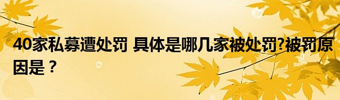 40家私募遭处罚 具体是哪几家被处罚?被罚原因是?