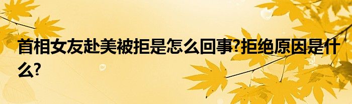 首相女友赴美被拒是怎么回事?拒绝原因是什么?