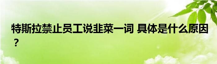 特斯拉禁止员工说韭菜一词 具体是什么原因?