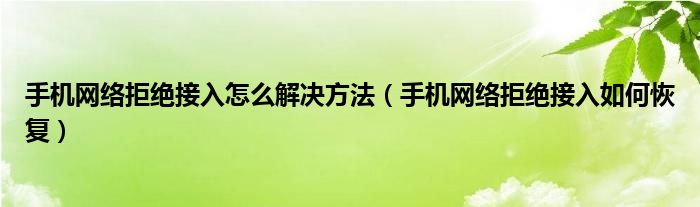 手机网络拒绝接入怎么解决方法(手机网络拒绝接入如何恢复)