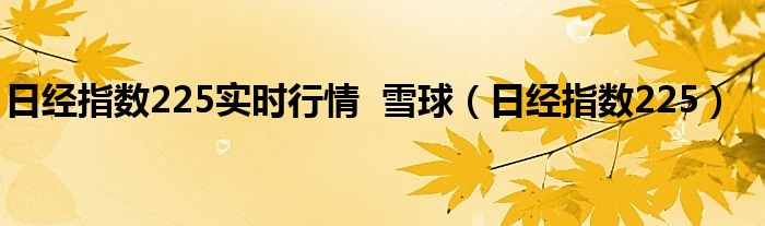 日经指数225实时行情 雪球(日经指数225)