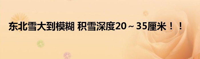 东北雪大到模糊 积雪深度20~35厘米!!