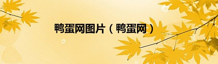 鸭蛋网图片（鸭蛋网）