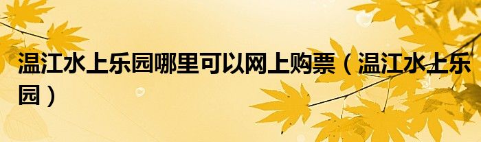 温江水上乐园哪里可以网上购票(温江水上乐园)