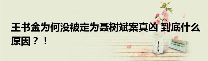 王书金为何没被定为聂树斌案真凶 到底什么原因?!
