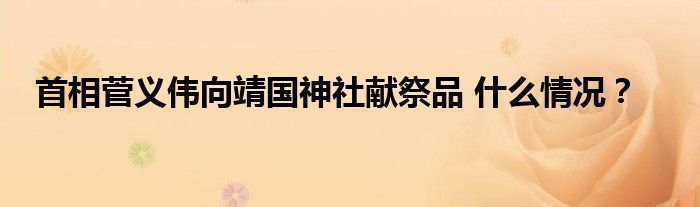 首相菅义伟向靖国神社献祭品 什么情况?