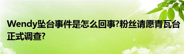 Wendy坠台事件是怎么回事?粉丝请愿青瓦台正式调查?
