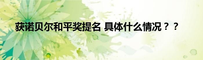 获诺贝尔和平奖提名 具体什么情况??