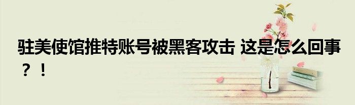 驻美使馆推特账号被黑客攻击 这是怎么回事?!