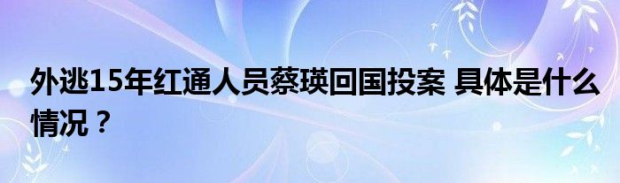 外逃15年红通人员蔡瑛回国投案 具体是什么情况?